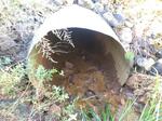 Culvert Crossing, Kittery, Maine