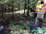 Multiple Culvert Crossing, Eliot, Maine