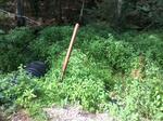 Multiple Culvert Crossing, Eliot, Maine
