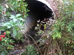 Culvert Crossing, Sanford, Maine