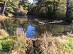Culvert Crossing, Lebanon, Maine
