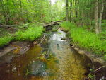 Culvert Crossing at Colcord Pond Rd, Porter, Maine
