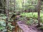 Culvert Crossing, Trib To Mousam Lake, Shapleigh, Maine
