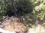 Multiple Culvert Crossing, Sanford, Maine