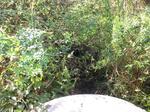 Culvert Crossing, Fuller Brook, Kittery, Maine