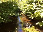 Culvert Crossing, Depot Brook, Wells, Maine