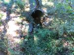 Culvert Crossing, Alfred, Maine