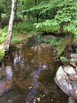 Culvert Crossing, Shapleigh, Maine