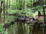 Culvert Crossing, Shapleigh, Maine