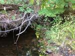 Culvert Crossing, Lebanon, Maine