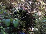 Culvert Crossing, Lebanon, Maine