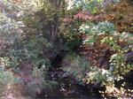 Culvert Crossing, Lebanon, Maine