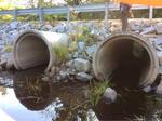 Multiple Culvert Crossing, Bog Brook, Lebanon, Maine