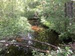 Culvert Crossing, Day Brook, Kennebunk, Maine