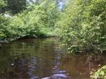 Culvert Crossing, Day Brook, Kennebunk, Maine