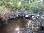 Culvert Crossing, Trib To Bog Brook, Lebanon, Maine