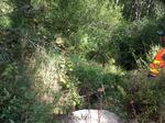 Culvert Crossing, Trib To Bog Brook, Lebanon, Maine