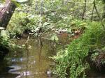 Culvert Crossing, Shapleigh, Maine
