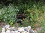 Culvert Crossing, York, Maine