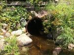 Culvert Crossing, Acton, Maine