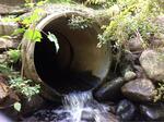 Culvert Crossing, Acton, Maine
