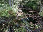 Multiple Culvert Crossing, Trib To Little River, Lebanon, Maine