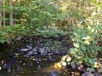 Culvert Crossing, Eliot, Maine