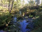 Culvert Crossing, Eliot, Maine