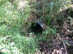 Multiple Culvert Crossing, Eliot, Maine