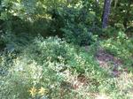 Multiple Culvert Crossing, Eliot, Maine