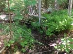 Culvert Crossing, York, Maine