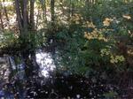 Culvert Crossing, Clay Hill Brook, York, Maine