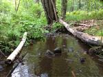 Culvert Crossing, Acton, Maine