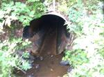 Culvert Crossing, Acton, Maine