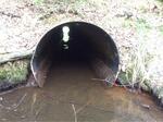 Culvert Crossing, Acton, Maine