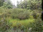 Culvert Crossing, Acton, Maine