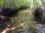 Culvert Crossing, Day Brook, Kennebunk, Maine