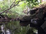 Culvert Crossing, Sanford, Maine