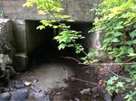 Culvert Crossing, Sanford, Maine