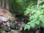 Culvert Crossing, Sanford, Maine