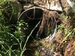 Culvert Crossing, Shapleigh, Maine