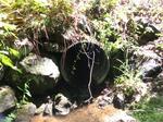 Culvert Crossing, Shapleigh, Maine