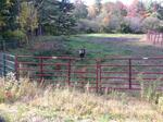 Culvert Crossing, Lebanon, Maine