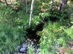 Culvert Crossing, Kennebunk, Maine