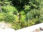 Bridge Crossing, Josias Brook, York, Maine