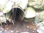 Culvert Crossing, Trib To Littlefield River, Alfred, Maine
