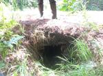 Culvert Crossing, Trib To Little River, Berwick, Maine