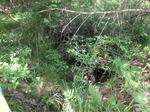 Culvert Crossing, Trib To Little River, Berwick, Maine