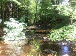 Culvert Crossing, Sanford, Maine