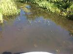 Multiple Culvert Crossing, Mill Brook, Old Orchard Beach, Maine